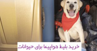 خرید بلیط هواپیما برای حیوانات